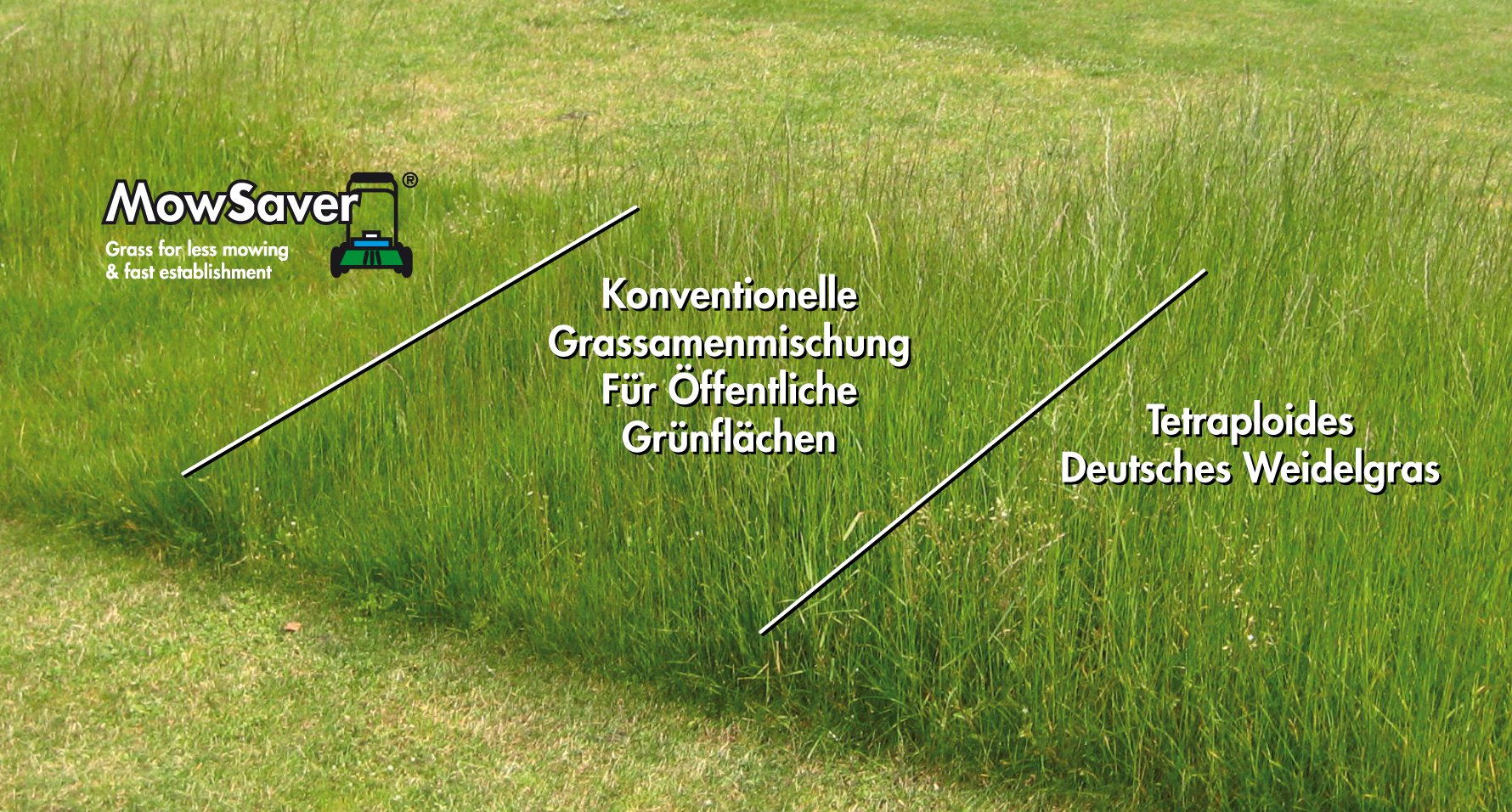 Ideales Gras zum Mulchen MowSaver-comparisons-DE.png